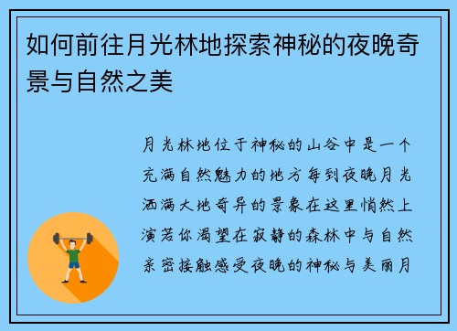 如何前往月光林地探索神秘的夜晚奇景与自然之美